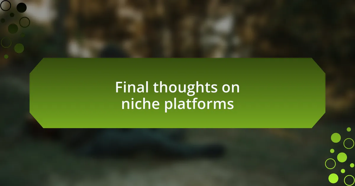 Final thoughts on niche platforms